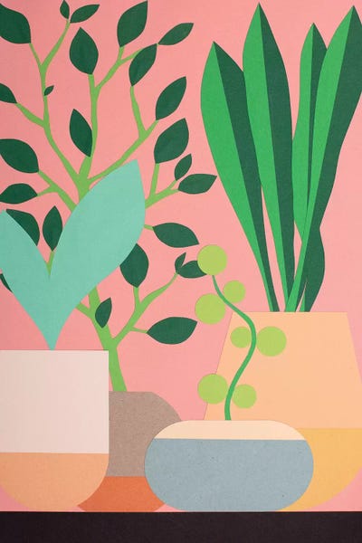 Cut & Paste: Plants And Pottery by Rosi Feist