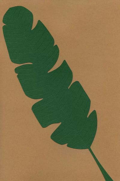 Tea Garden: Banana Leaf by Rosi Feist