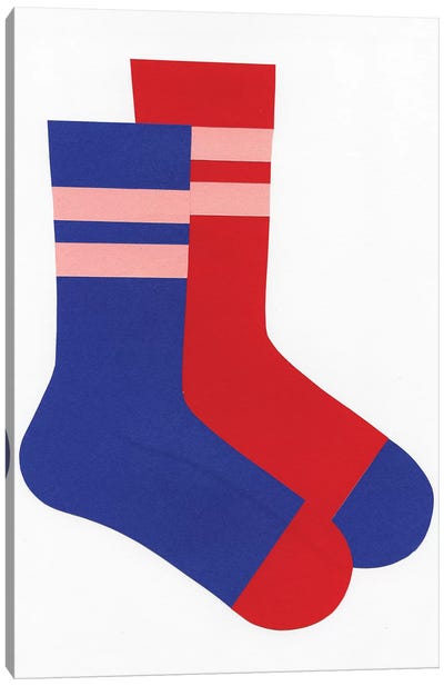 Socks Canvas Art Print - Rosi Feist