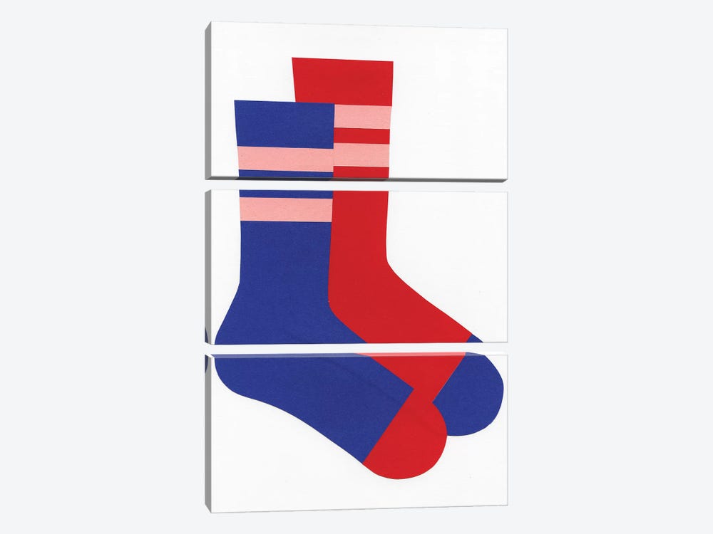 Socks by Rosi Feist 3-piece Canvas Art Print