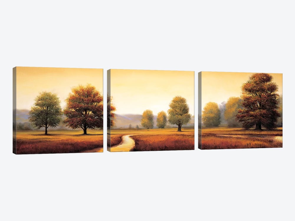 Landscape Panorama I by Ryan Franklin 3-piece Art Print