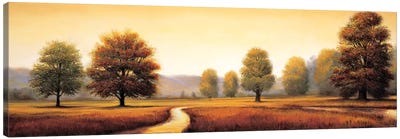 Landscape Panorama I Canvas Art Print