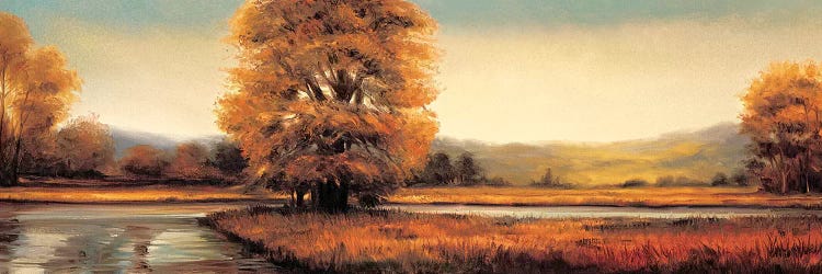 Landscape Panorama II by Ryan Franklin wall art
