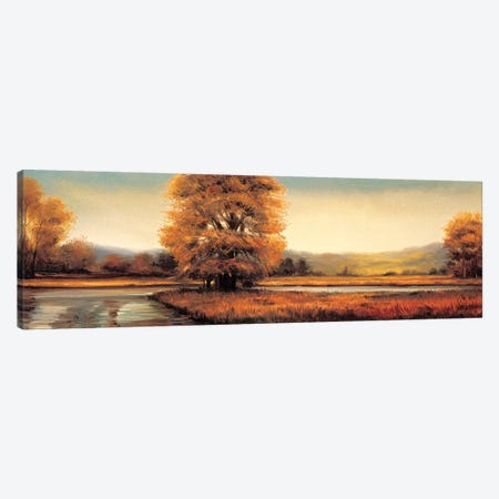 Landscape Panorama II Canvas Print #RFR5} by Ryan Franklin Art Print