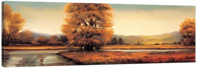 Landscape Panorama II Canvas Art Print