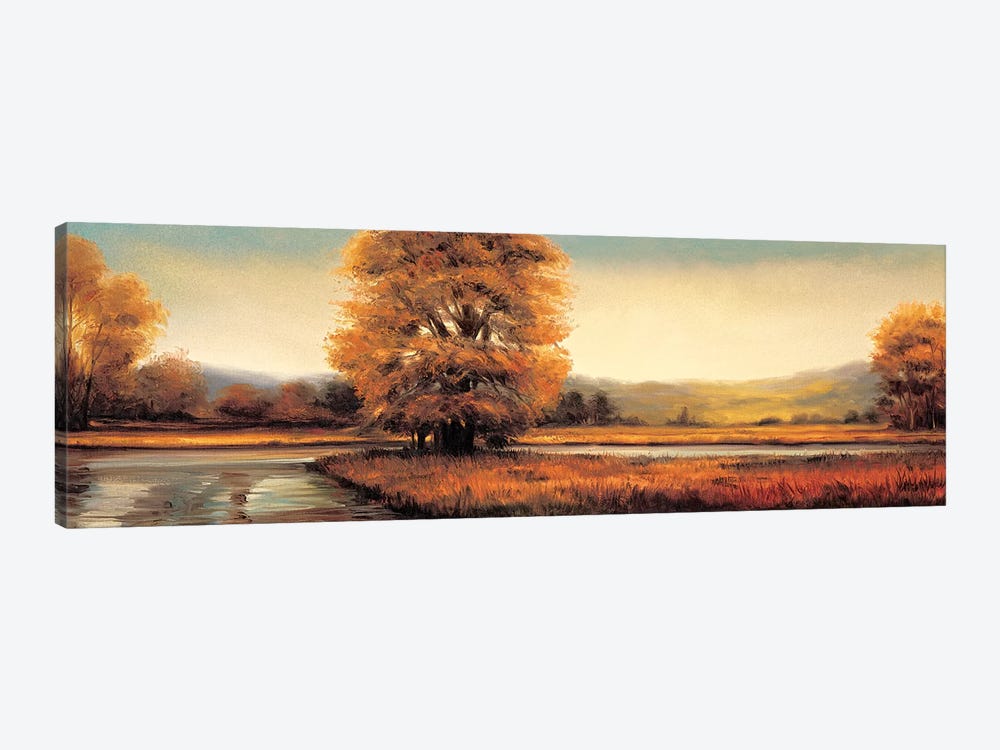 Landscape Panorama II by Ryan Franklin 1-piece Canvas Art