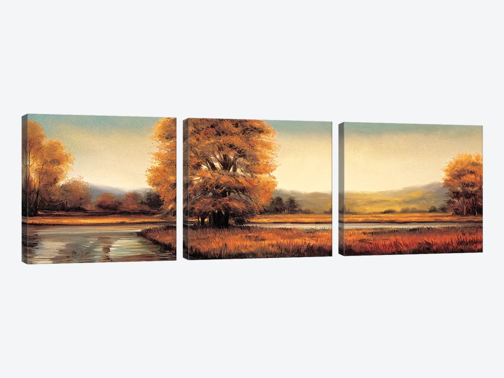 Landscape Panorama II by Ryan Franklin 3-piece Canvas Artwork
