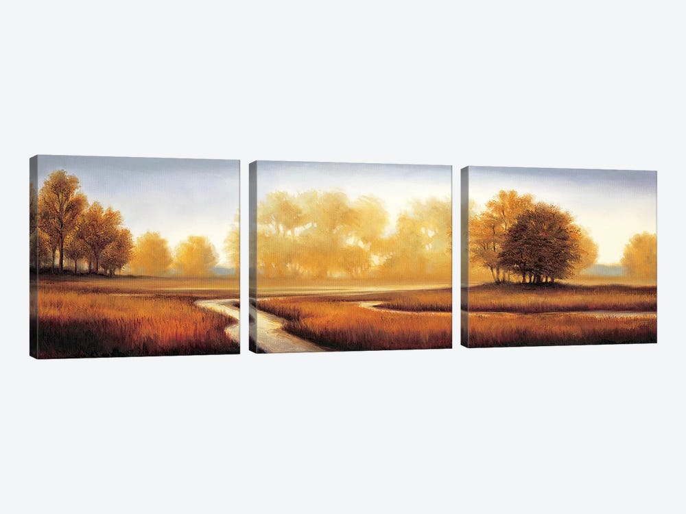 Landscape Panorama III by Ryan Franklin 3-piece Canvas Art Print