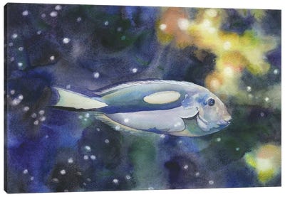 Blue Tang Swimming In Ocean Canvas Art Print - Ryan Fox