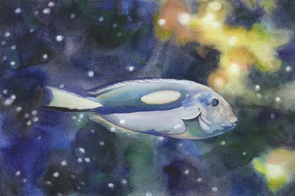 Ryan Fox: Blue Tang Swimming In Ocean by Ryan Fox