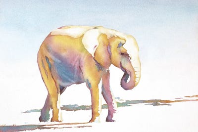 Elephant Walk by Ryan Fox canvas print