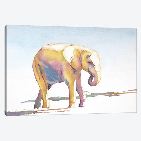 Elephant Walk Canvas Print #RFX35} by Ryan Fox Canvas Print