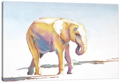 Elephant Walk Canvas Art Print - Ryan Fox