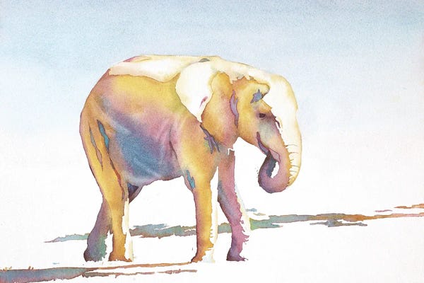 Ryan Fox: Elephant Walk by Ryan Fox