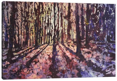 Forest At Sunset Canvas Art Print - Ryan Fox