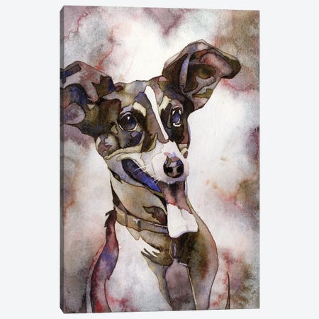 Jack Russell Terrier Canvas Print #RFX43} by Ryan Fox Canvas Print