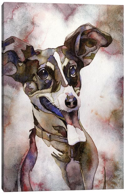 Jack Russell Terrier Canvas Art Print - Ryan Fox