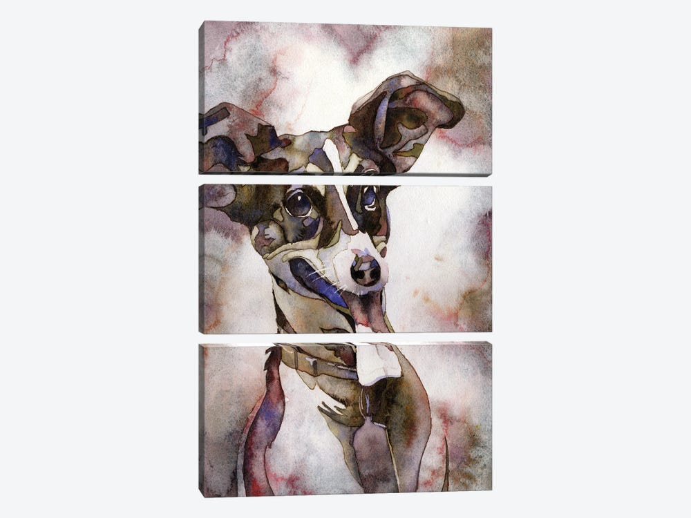 Jack Russell Terrier by Ryan Fox 3-piece Canvas Art