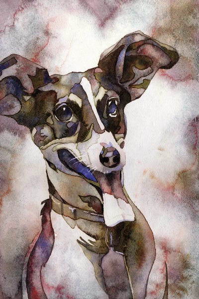 Ryan Fox: Jack Russell Terrier by Ryan Fox