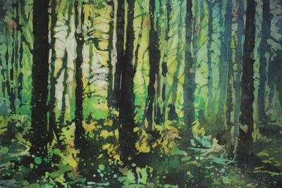 Sun's Rays In Forest by Ryan Fox framed canvas print