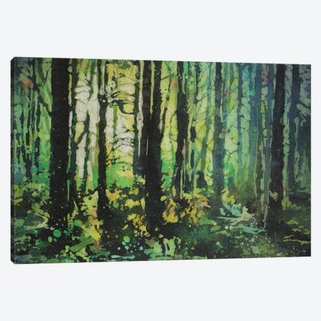 Sun's Rays In Forest Canvas Print #RFX46} by Ryan Fox Canvas Wall Art