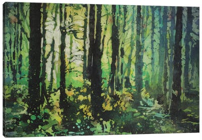 Sun's Rays In Forest Canvas Art Print - Ryan Fox