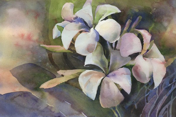 Floral Close-Ups: Plumeria by Ryan Fox