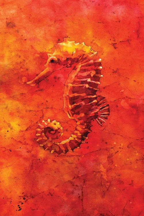 Seahorse by Ryan Fox wall art