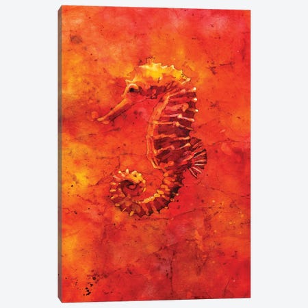 Seahorse Canvas Print #RFX62} by Ryan Fox Art Print