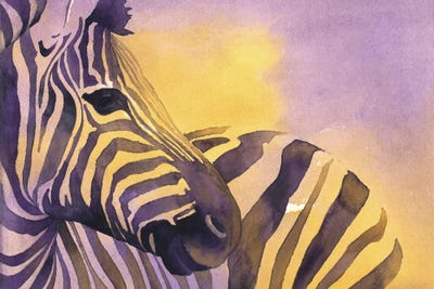 Striped Zebra by Ryan Fox art print