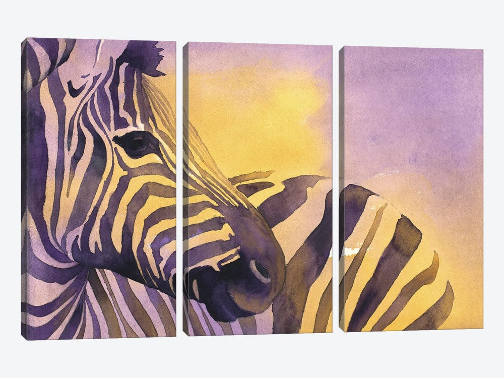 Striped Zebra by Ryan Fox 3-piece Canvas Art