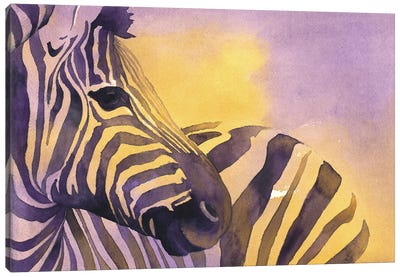 Striped Zebra Canvas Art Print - Ryan Fox