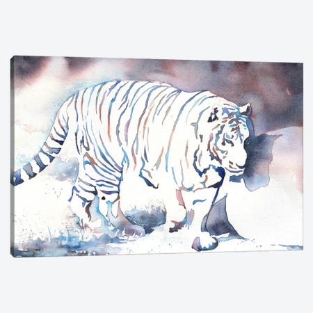 Tiger Walking Canvas Print #RFX76} by Ryan Fox Canvas Art Print