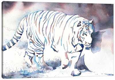 Tiger Walking Canvas Art Print - Ryan Fox