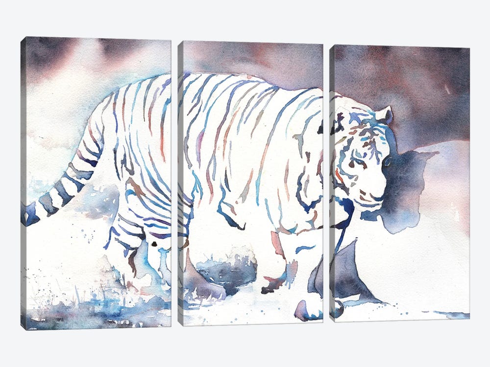 Tiger Walking by Ryan Fox 3-piece Canvas Art