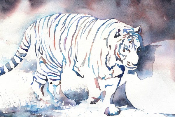 Ryan Fox: Tiger Walking by Ryan Fox