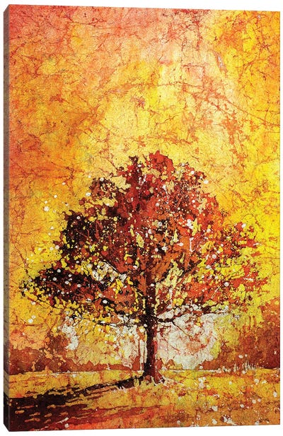 Tree Silhouetted In North Carolina Canvas Art Print - North Carolina Art