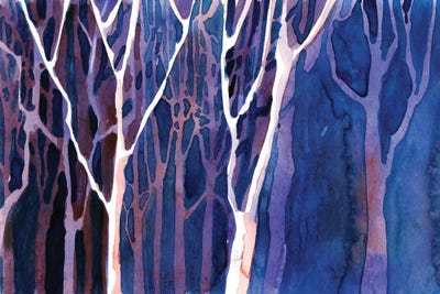 Trees In Forest Ii by Ryan Fox canvas print