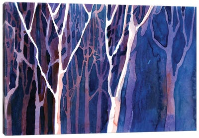 Trees In Forest Ii Canvas Art Print - Ryan Fox