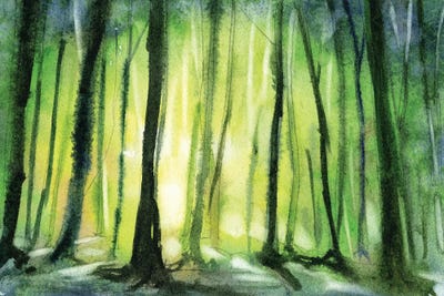 Trees Silhouetted In Forest At Sunset by Ryan Fox multi panel art