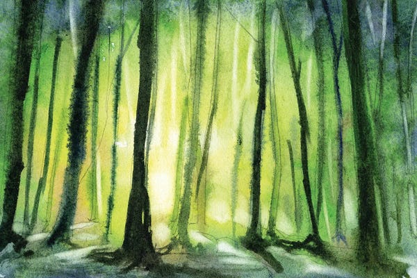 Ryan Fox: Trees Silhouetted In Forest At Sunset by Ryan Fox
