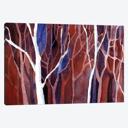 Trees In Forest Canvas Print #RFX82} by Ryan Fox Canvas Art Print