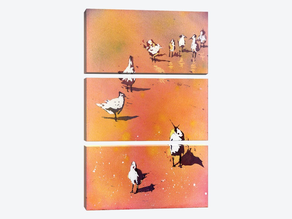 Birds On Beach by Ryan Fox 3-piece Canvas Art Print