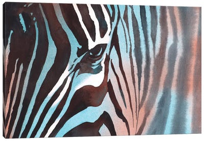 Zebra Canvas Art Print - Ryan Fox