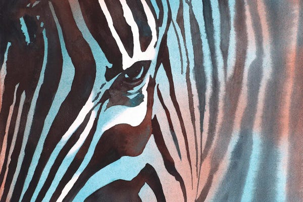 Zebras: Zebra by Ryan Fox
