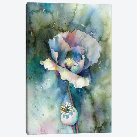 Poppy Canvas Print #RFX95} by Ryan Fox Art Print