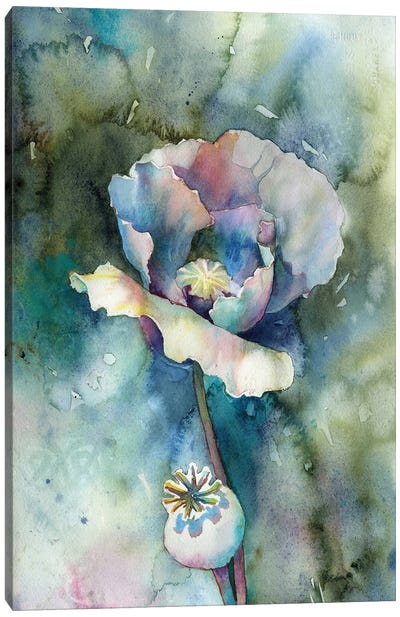 Poppy Canvas Art Print - Ryan Fox