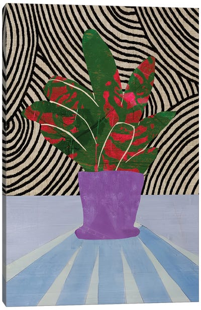 Purple Vase Canvas Art Print - Rogerio Arruda