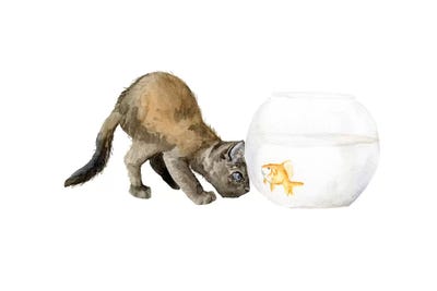 Black Cat And Goldfish Bowl by Wandering Laur framed wall art