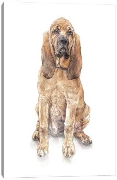 THE TIRED & LOYAL BLOODHOUND PET DOG ART PAINTING PRINT ON REAL CANVAS 